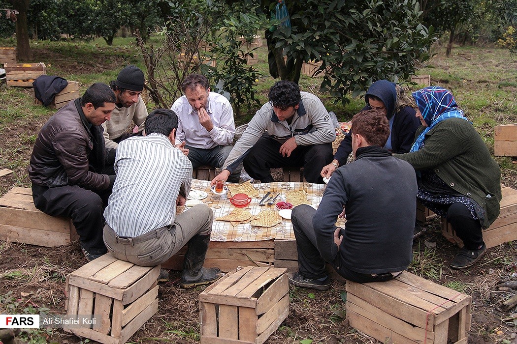 خانواده و کسب‌وکار: سازکار سرمایه‌گذاری مردم برای تولید