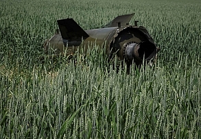 ما و ادامه جنگ؛ ضرورت خودکفایی غذا و کشاورزی