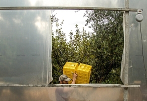 نقطه‌های آغازینِ تولید